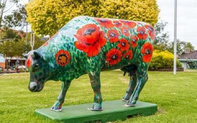 Meet Poppy – the new cow on the block!